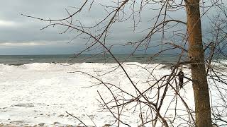 VID 20220103 170354