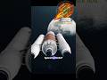 SpaceX vs NASA – Who Really Wins the Space Race? 🌍✨