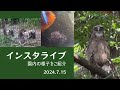 2024年7月15日 インスタライブ 園内の様子をご紹介