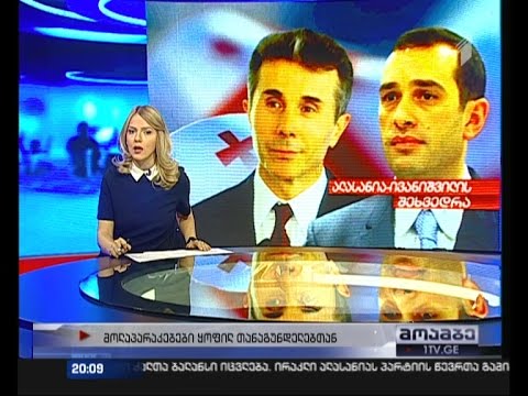 ალასანია ივანიშვილს შეხვდა - უცნობია რა შედეგით დასრულდა აუდიენცია