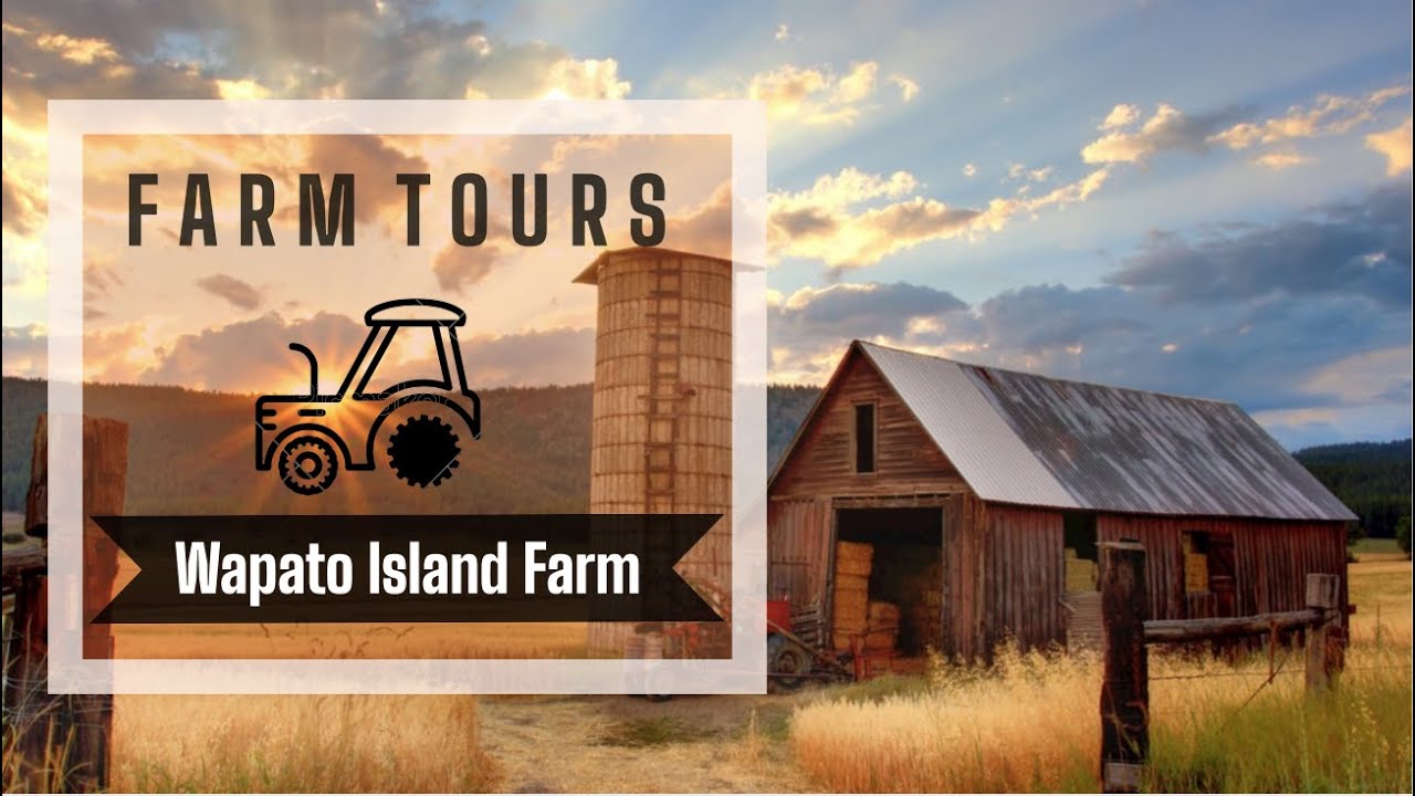 Farm to School Wapato Island Farm YouTube