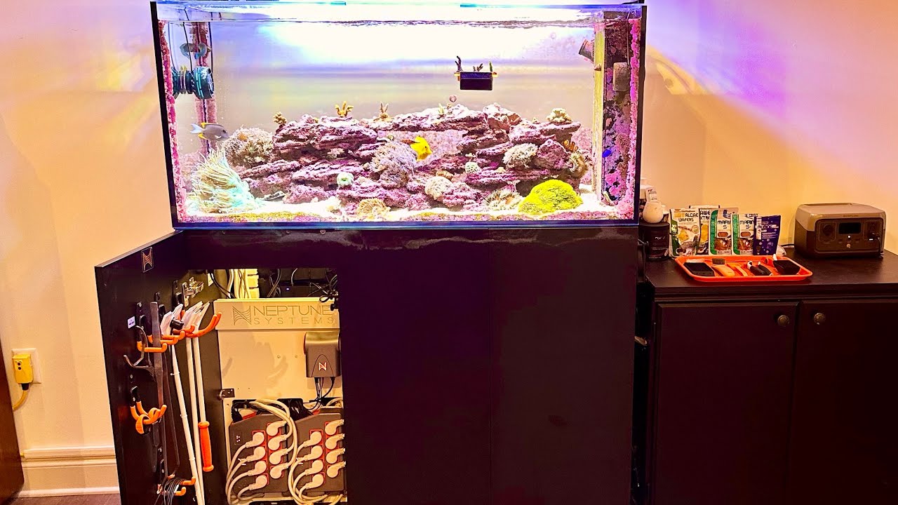 Reef Tank Invertebrate Husbandry Tips Reference: Reef Husbandry Friendly Advice For Making Reefkeeping More