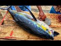 Huge 45lb Yellowfin Tuna Cutting | Yellowfin Tuna Cutting Skills | Tuna Chunks
