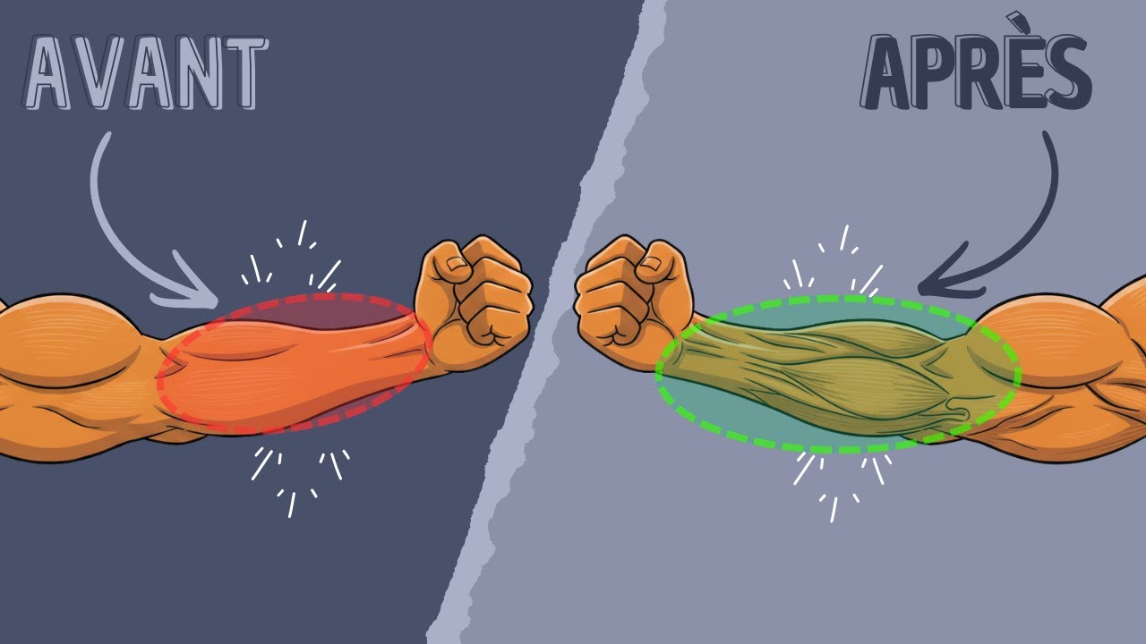 Avant-Bras qui Ne Grossissent Pas ? Voici Pourquoi (+ Solutions)