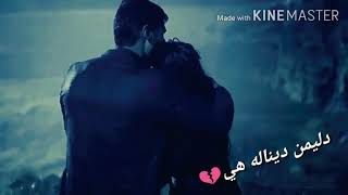 شفكي طاري ببرفو وبارن Şevke Tarî