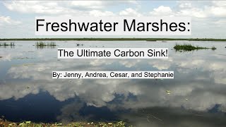 Nature Knights - Episode 2: Freshwater Marsh