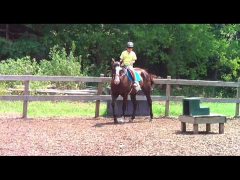Riding Academy August 2012
