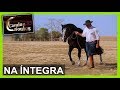 Programa Cavalos Crioulos na ÍNTEGRA 03/05/2020