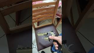 RT 889 - calibre 38 - 6 polegadas