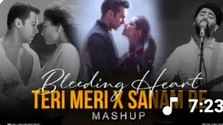 Bluding Heant|| Teri Meri X Sanam Re ||Mashup Remix|| sp_mp3007