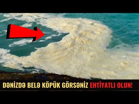 Video: Niyə dəniz köpüyüdür?