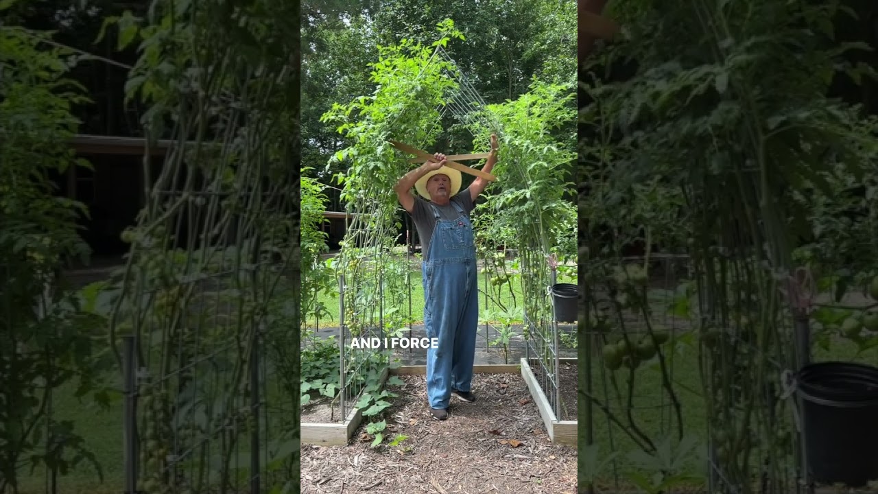 More information about the Gothic-window Trellis or A-Frame version. 