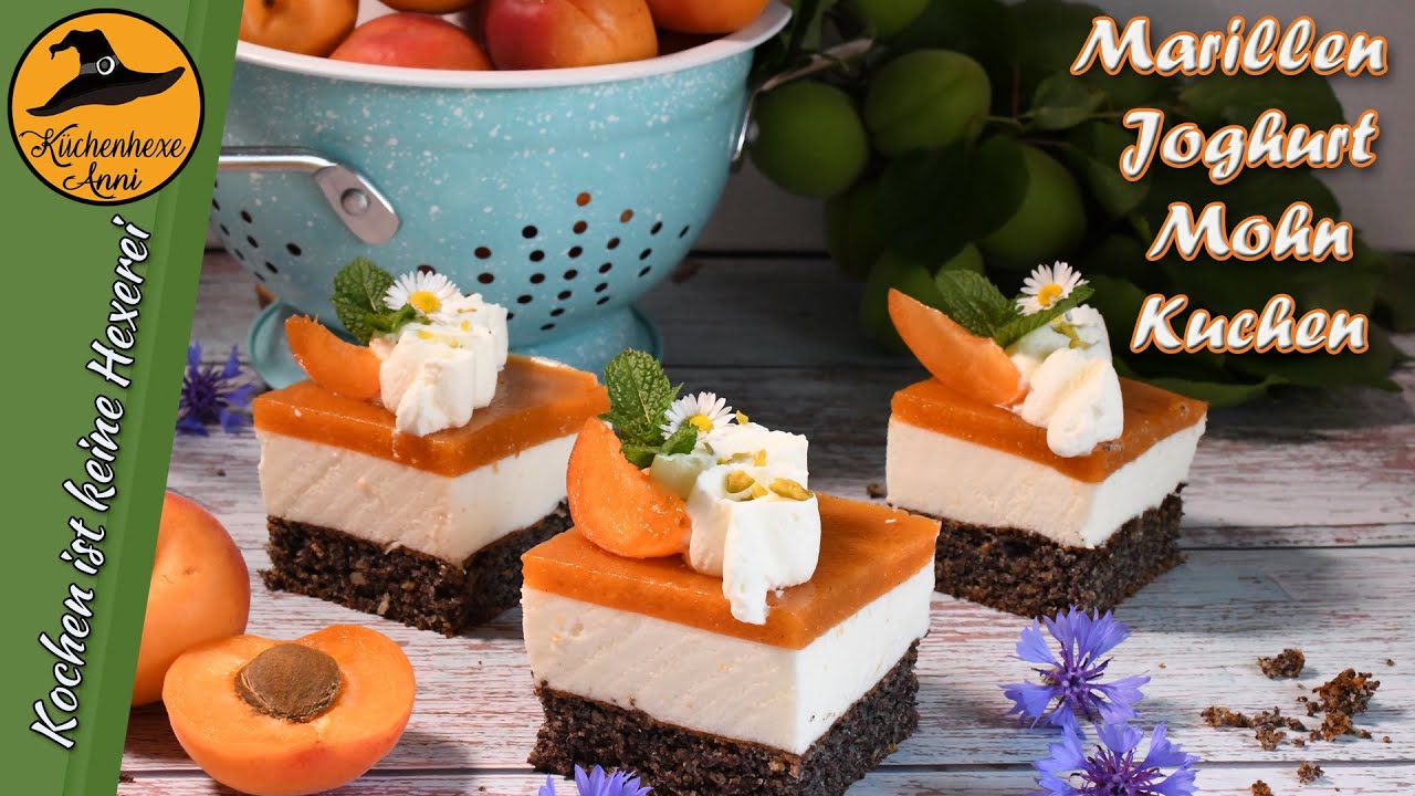 Sommerlicher  Marillen   Joghurt   Mohnkuchen ( herrlich frisch und fruchtig )