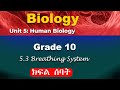 Grade 10 Biology Unit 5 Part 7 Human Biology Breathing System 