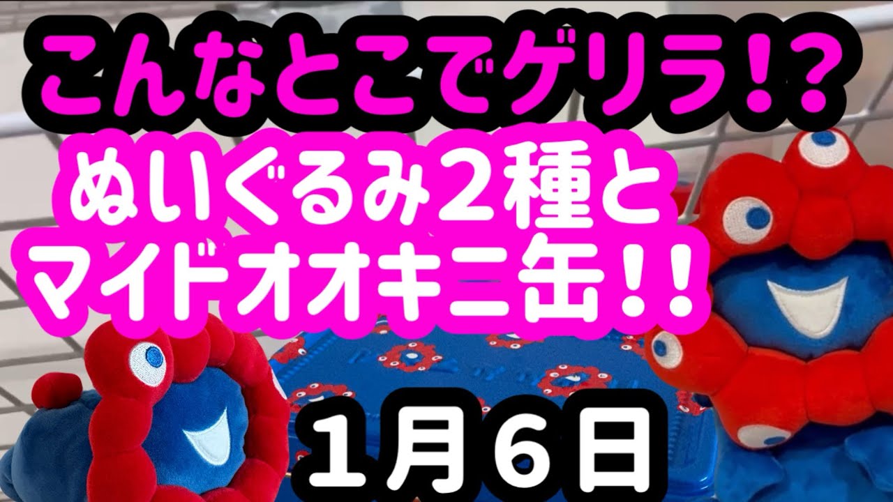 【衝撃の入荷】ミャクミャクぬいぐるみやマイドオオキニ缶がまさかの場所でゲリラ販売されていました！！
