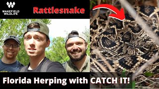 Herping Florida with Catch It! Eastern Diamondback Rattlesnake and MORE!