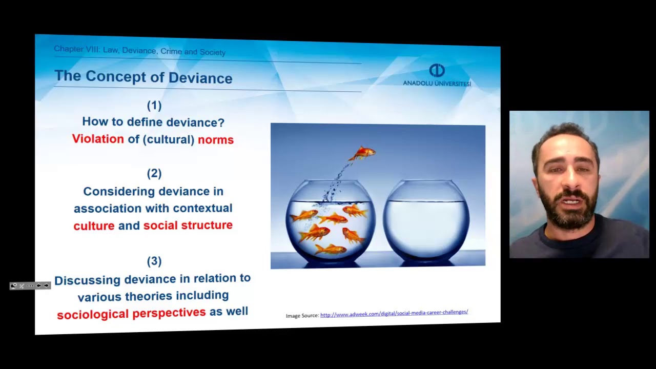 INTRODUCTION TO SOCIOLOGY - Unit 8 Chapter Summary - YouTube