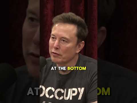 Elon Musk talks about grock #fyp #muskrevolution #tesla #x #spacex #