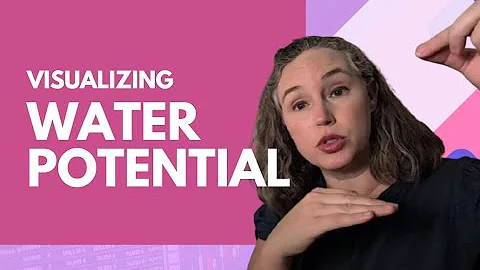 Visualizing Water Potential  Plant Transport Explained | AP Biology