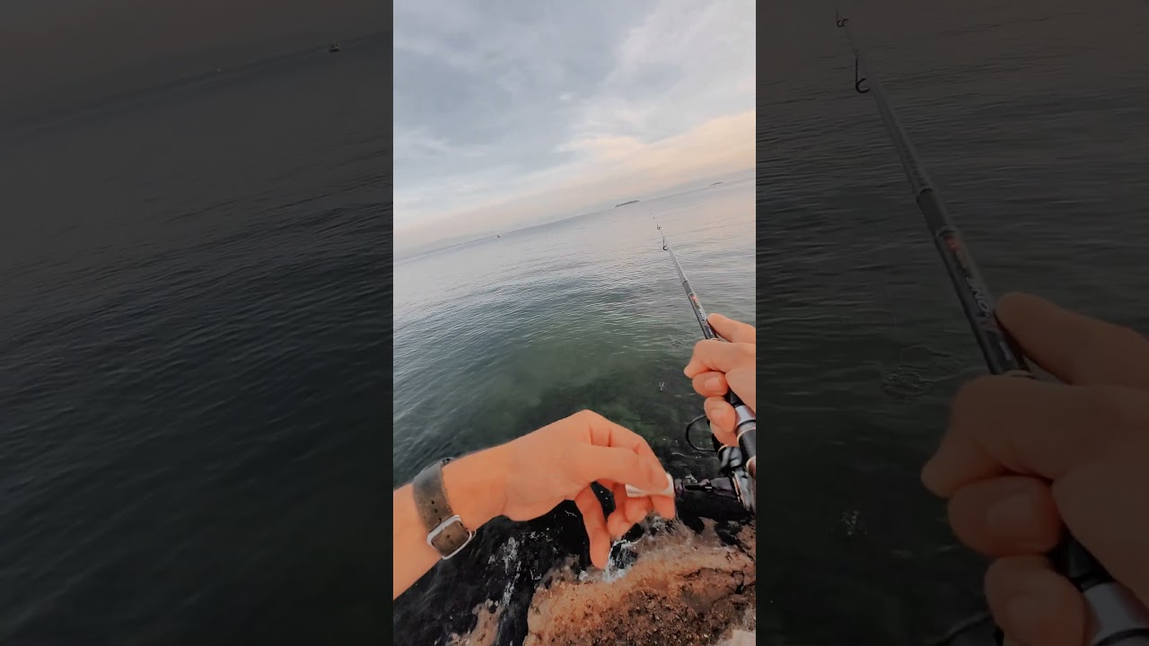 BALIK KAÇIRMAYACAK İGNE YOKTUR.HANGİ MARKA OLURSA OLSUN.