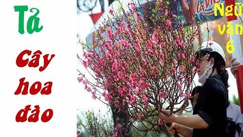 👍👍👍Bài viết số 5: Tả cây hoa đào ngày tết - Lớp 6.