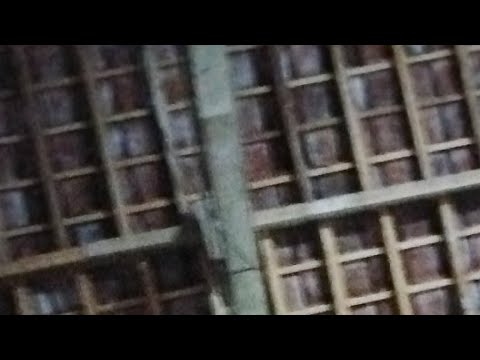 Persikabo Vs PERSIJA JAKARTA - YouTube