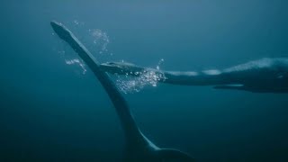 Prehistoric Planet [2022] - Tuarangisaurus Mating ritual