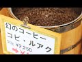 猫のふんのコーヒー「コピルアク」って飲んだことある？【猫の多頭飼い】チーママTAKESHIとおまつりふじ子のおやすみライブ