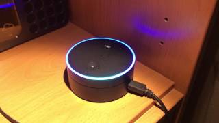 English Teacher By Amazon Echo & Alexa