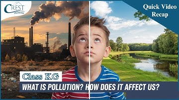 Class KG Pollution | Science Olympiad | CREST Olympiads