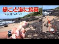 海岸に打ち上げられた袋に産まれたばかりの子猫が入ってました…