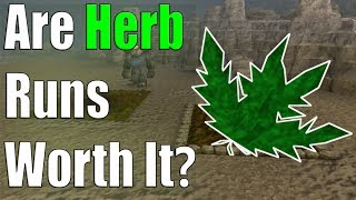 The Efficiency Behind Herb Runs