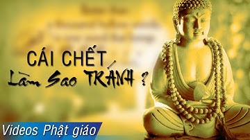 CÁI CHẾT Có Đáng Sợ Hay Không Và Làm Sao Để Tránh