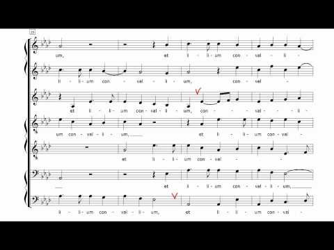 Ensemble Musicaficta: EGO FLOS CAMPI (J. Clemens non Papa)