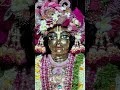 Radha Krishna 🧿🥰# #trendingshorts #love #devotionalbhajan #explore #youtubeshorts #fypシ゚viral