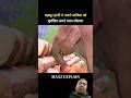 Hathi ki imandari OMG 😳 #shorts #ytshorts #youtubeshorts