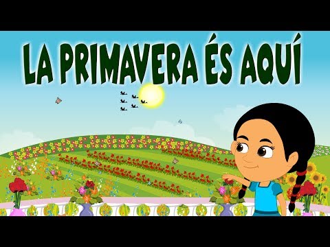 Vídeo: Quines Flors Triar A La Primavera