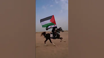 هو انت قد الاحرار ولقد الفلسطينيه بنموت وما نسلم دار الاحرار يرفعون علم فلسطين 
