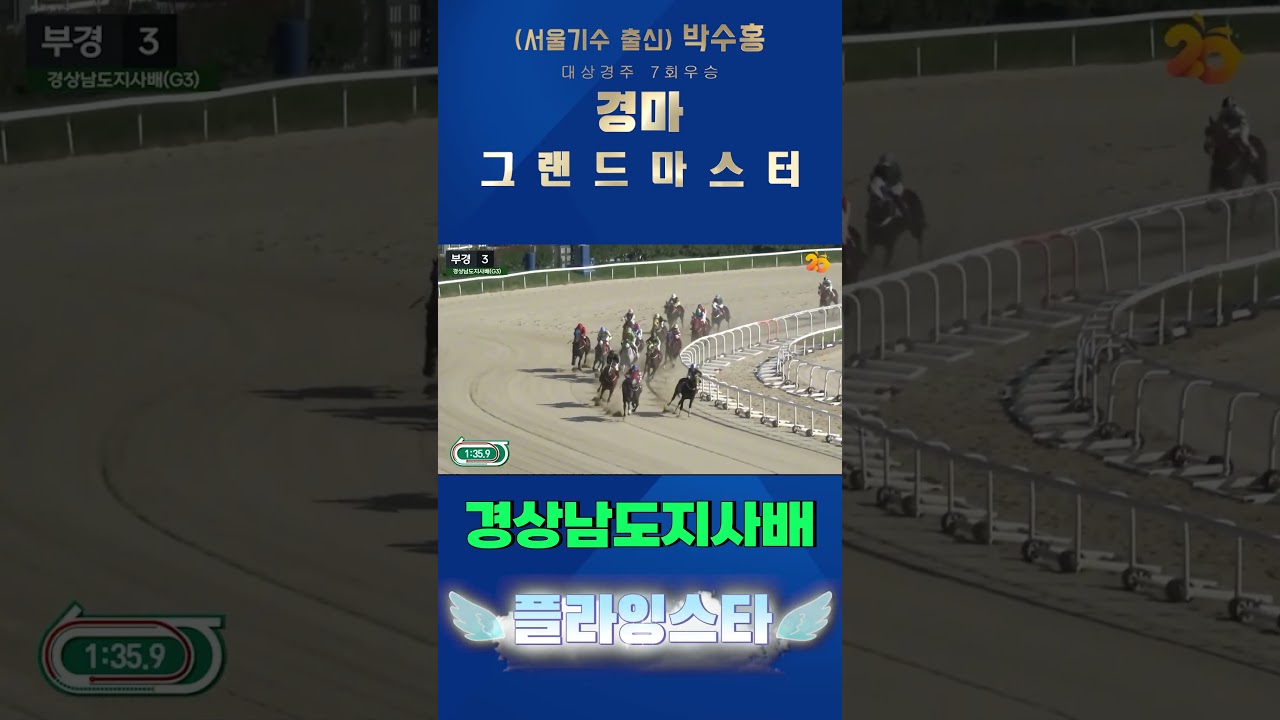 [경상남도지사배] 국산 암말 최강마 두번째 관문!! 우승마는??#shorts#대상경주#박수홍경마