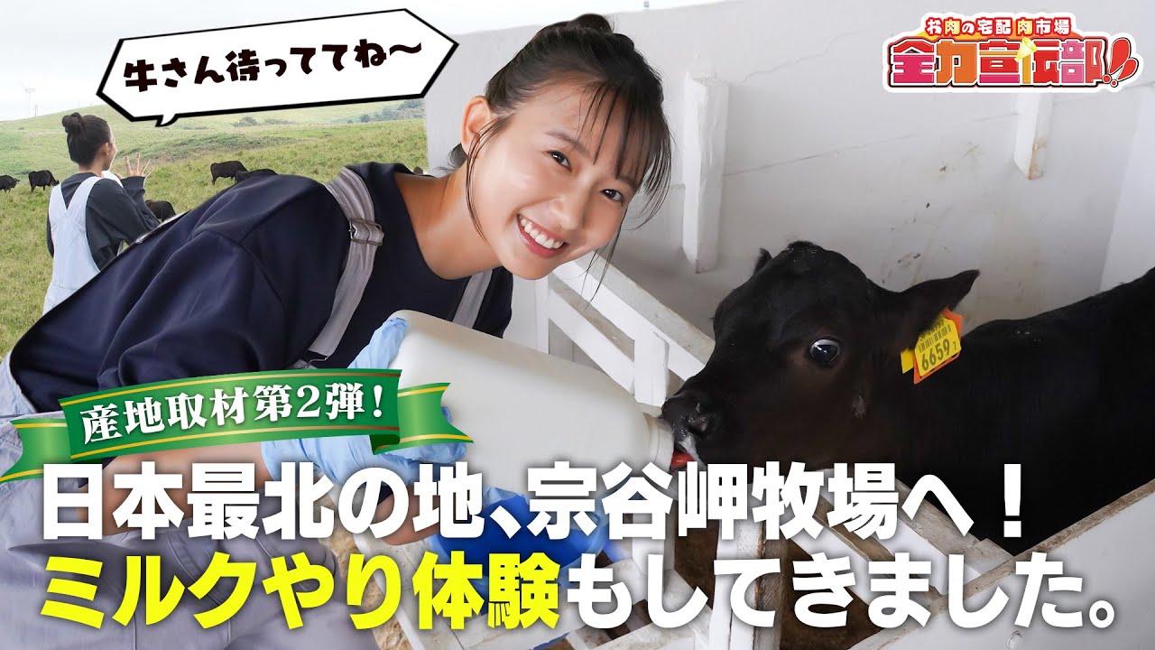 産地取材第二弾！志田音々が日本最北の地、宗谷岬牧場に行ってきました！