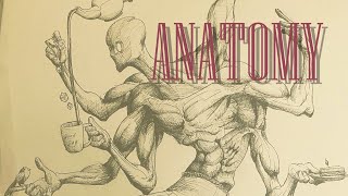 How I Draw Anatomy