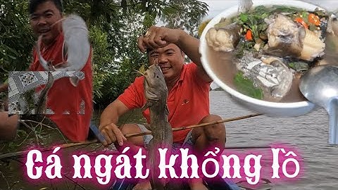 Câu cá ngát khổng lồ về làm bữa cơm sáng cùng gia đình#cuocsongqueem