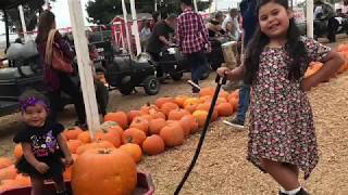 VLOGTOBER👻🖤 Pumpkin patch vlog 2017