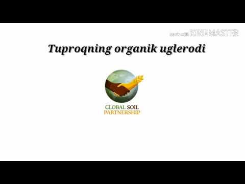 Video: Organik tuproqqa o'zgartirishlar - organik bog'lar uchun sog'lom tuproq yaratish