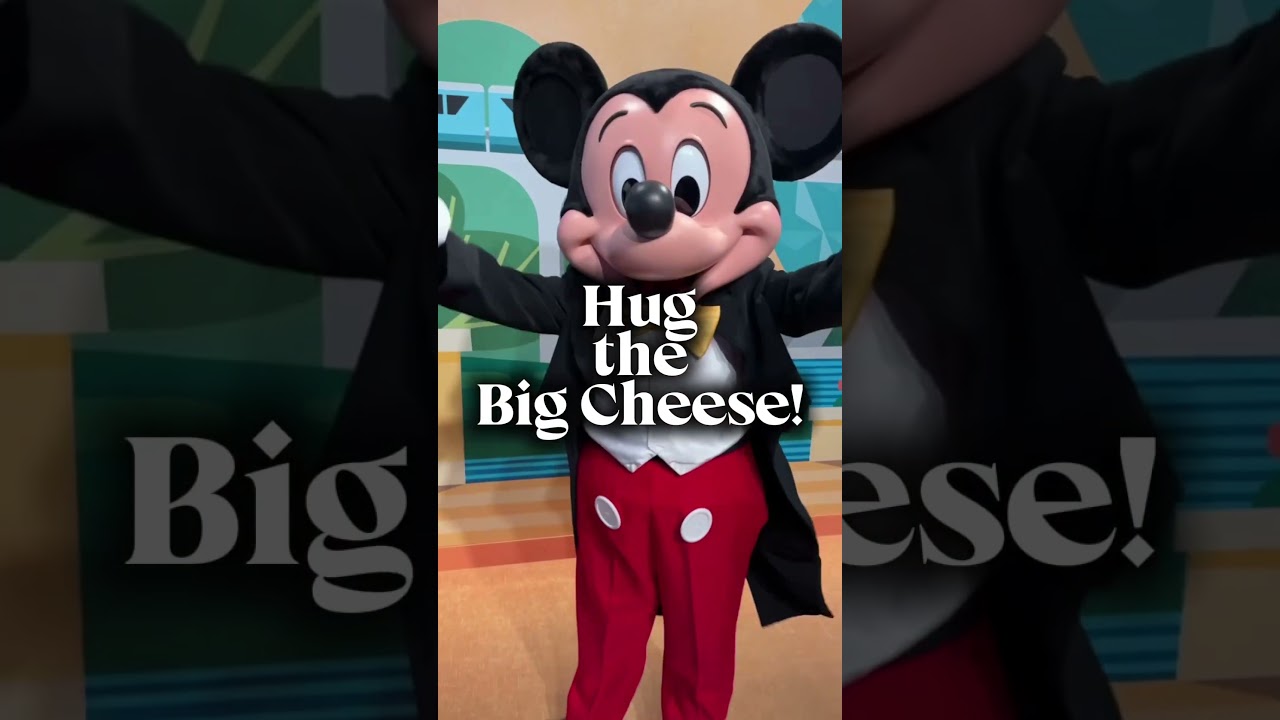 Be Our Guest Vacations Your Way to Disney Stress Free!