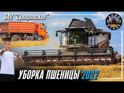 Генератор рсм 161