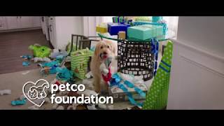 ADOPT LOVE -- Dog Days