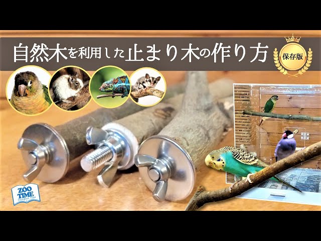 ☆インコ飼いは絶対やれ！【自然木を利用した止まり木の作り方 DIY】2