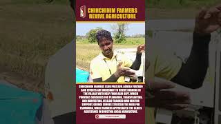 Chinchinim Farmers Aim to Revive Agriculture