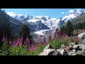 Traumhaft schöne Wanderung im Engadin (Schweiz): Morteratsch Gletscher und Boval Hütte